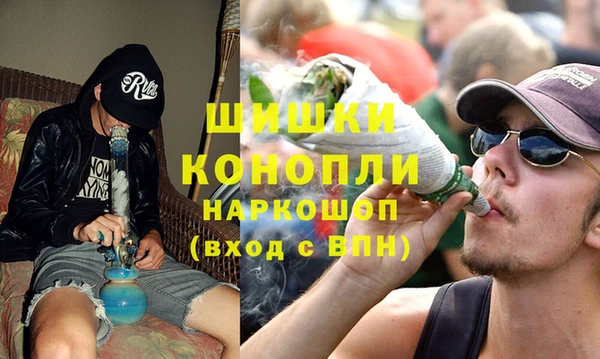 тгк Бронницы