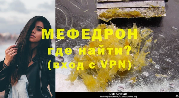 индика Ростов