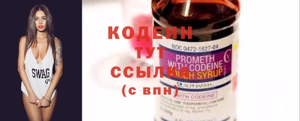 индика Ростов