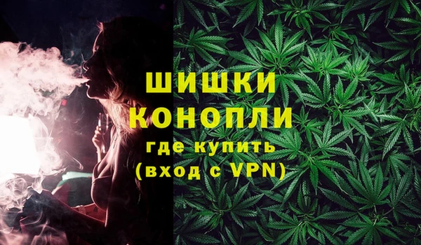 индика Ростов