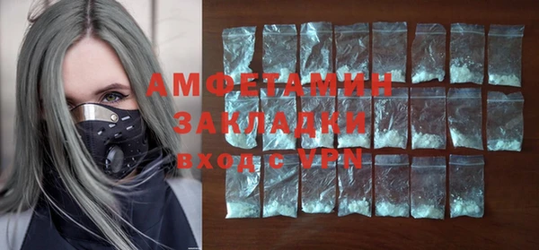 индика Ростов