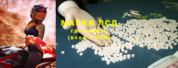 индика Ростов