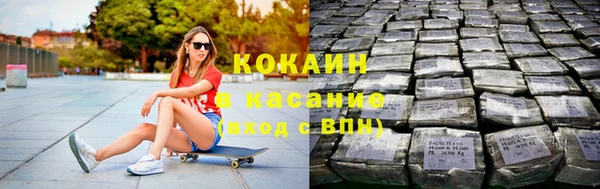 прущие грибы Богородск