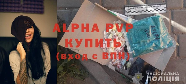 индика Ростов