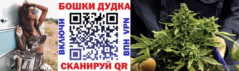 дарк нет официальный сайт  Новодвинск  Шишки марихуана индика 